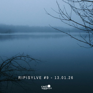 RIPISYLVE #9 w/ Small Water Bodies