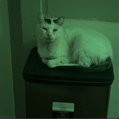 i'm retarded (prod. soul.x) **2024**