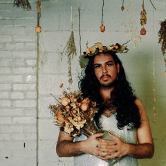 Samira Mendoza - Planet ZoLean - COMMON Multiverse on Currents.fm