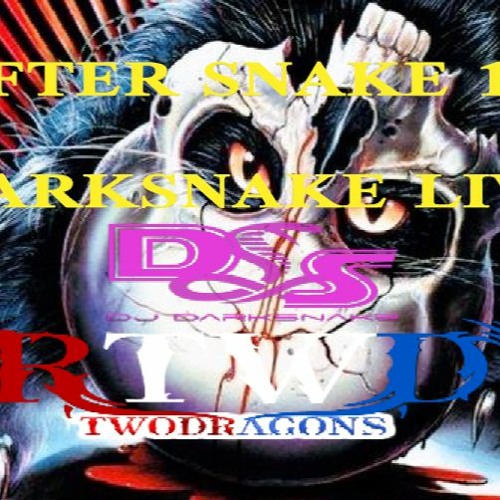 Darksnake Special Live Techno "After Snake 106" Radio TwoDragons 20.11.2022