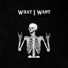 R.BIGGS - What I Want [FREE DOWNLOAD]