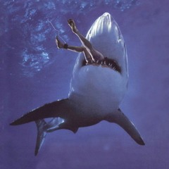 shark remix (prod. CINKKO)