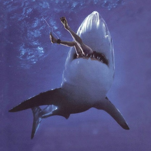 shark remix (prod. CINKKO)