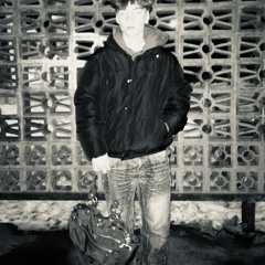 2010/flexim