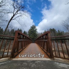 Curiosity