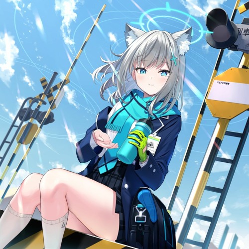 ブルーアーカイブ OST Vol.5 セット（中古】【アクキー付き