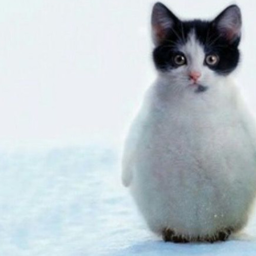 kane grocerys luckaleannn karmah type beat