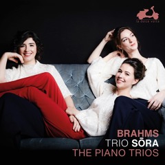 i Brahms Piano Trio No 1 in B minor Op 8 (revised 1889 version) i Allegro con brio (excerpt).mp3