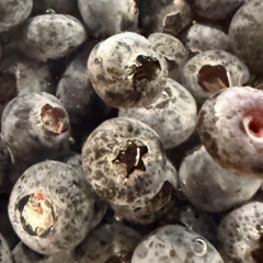 Feeding Friend Food and Music