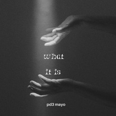 Mayo - What it is XX 1.wav