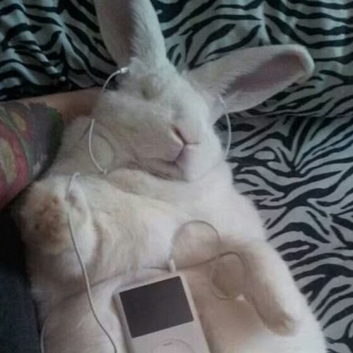 thinkimpretty* w/qulan + kubb (prod me)