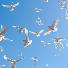 Histoire d'Amour (Love Story)