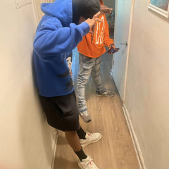 Sharksco - BD BD