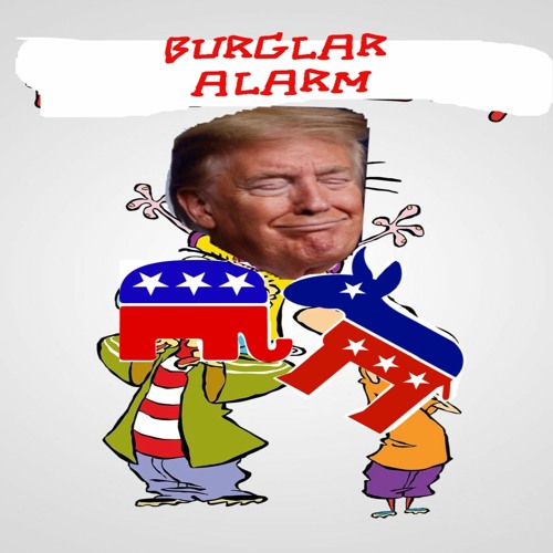 Burglar Alarm