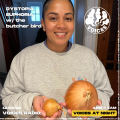 Dystopia Euphoria - 12th May 2025