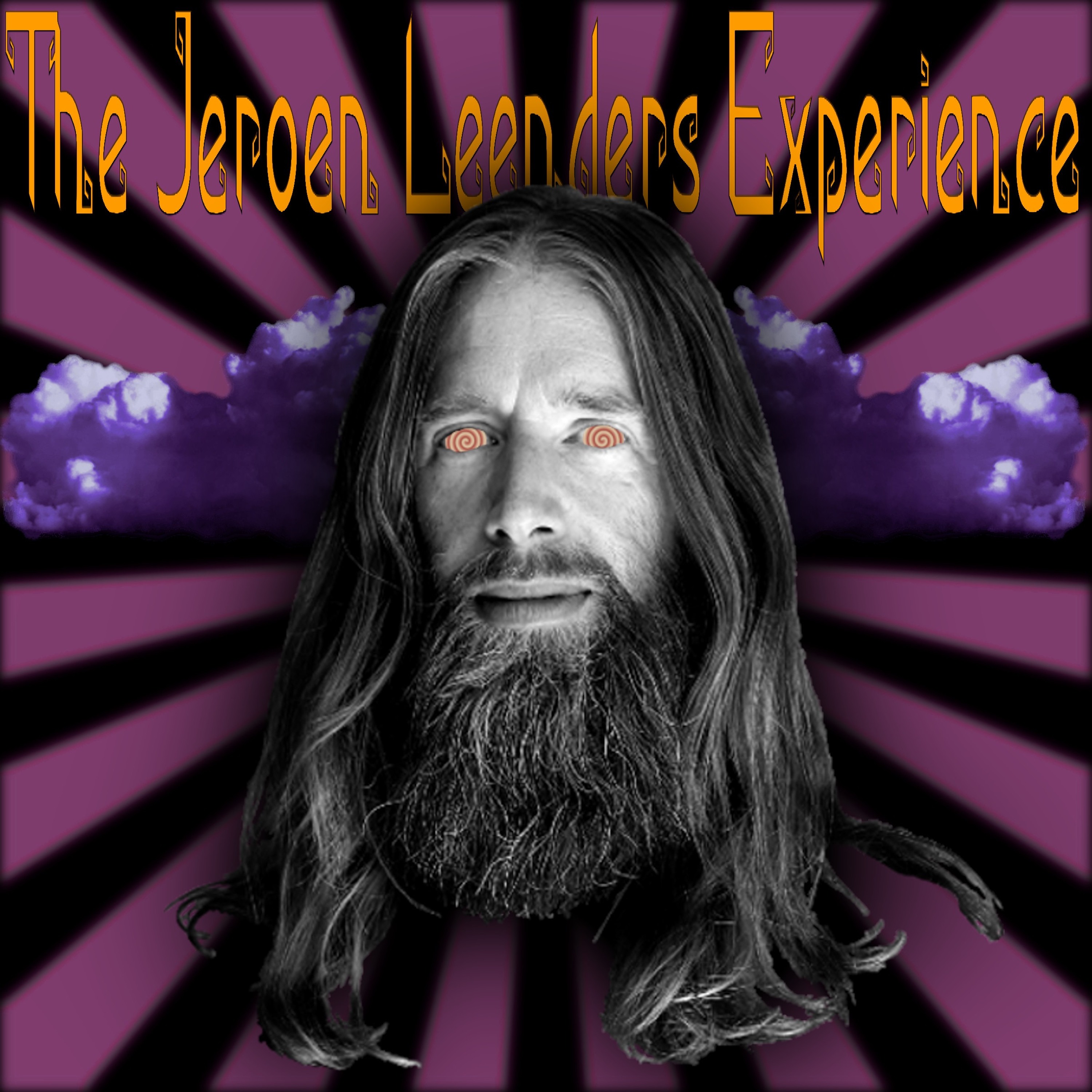 Jeroen Leenders Experience