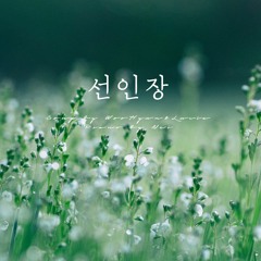남우현(NamWooHyun) & Lucia(심규선) - 선인장(Cactus) Piano Cover