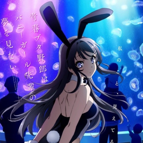 Listen to music albums featuring Rascal Does Not Dream Of Bunny Girl