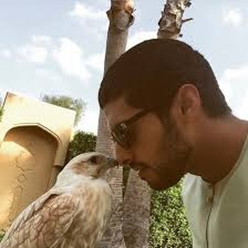 شمس المحبه - عيضه المنهالي