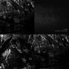 Stroboscopic Artefacts