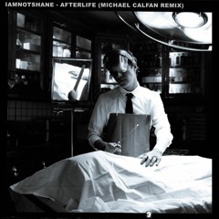 Afterlife (Michael Calfan Remix)