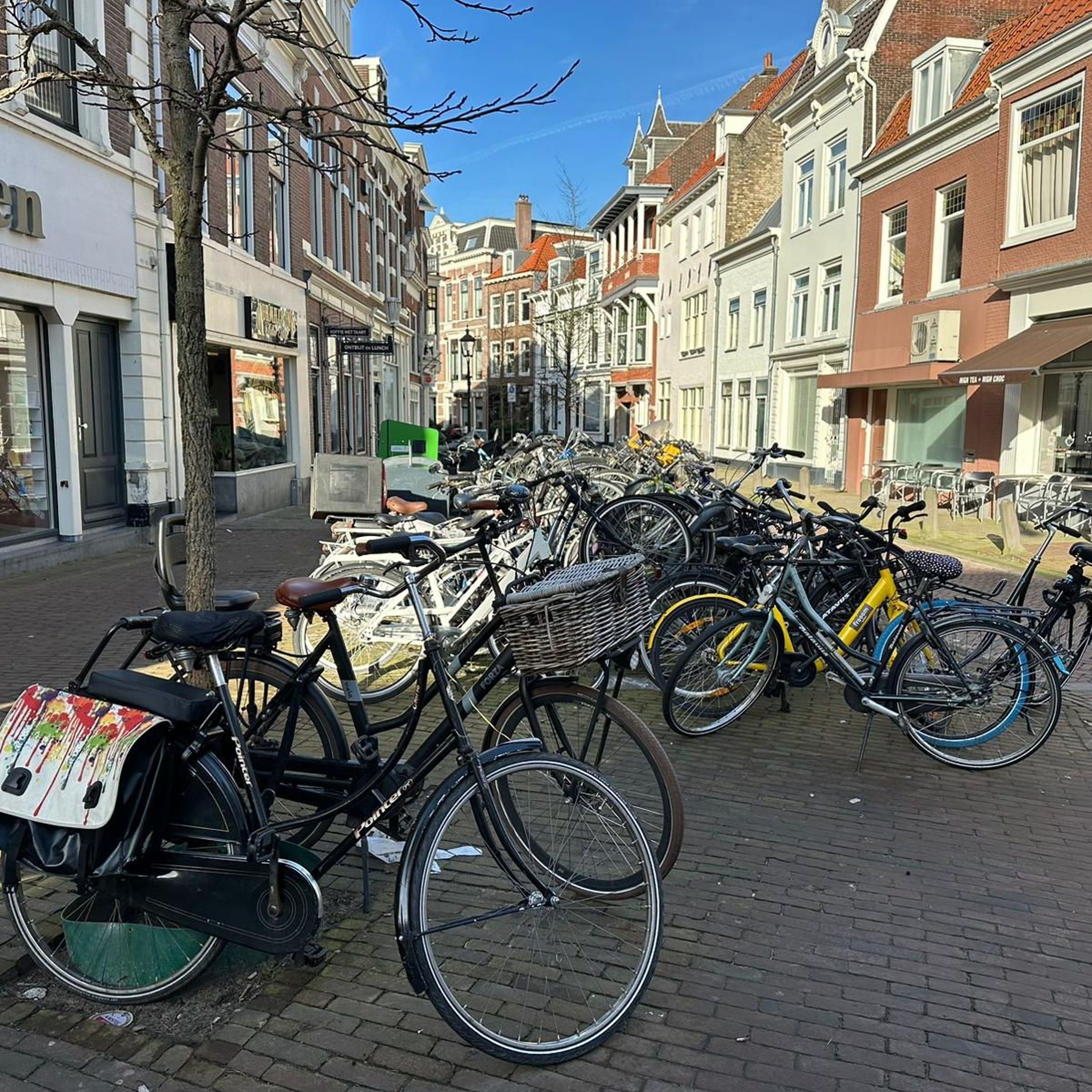 Haarlem105