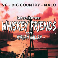 Whiskey Friends - VC & Big Country & Malo Big Room 'Mr Brightside' Edit (Intro Clean)