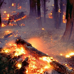 oldoceans - thru the 🔥 (prod sean + leo) (reupload)