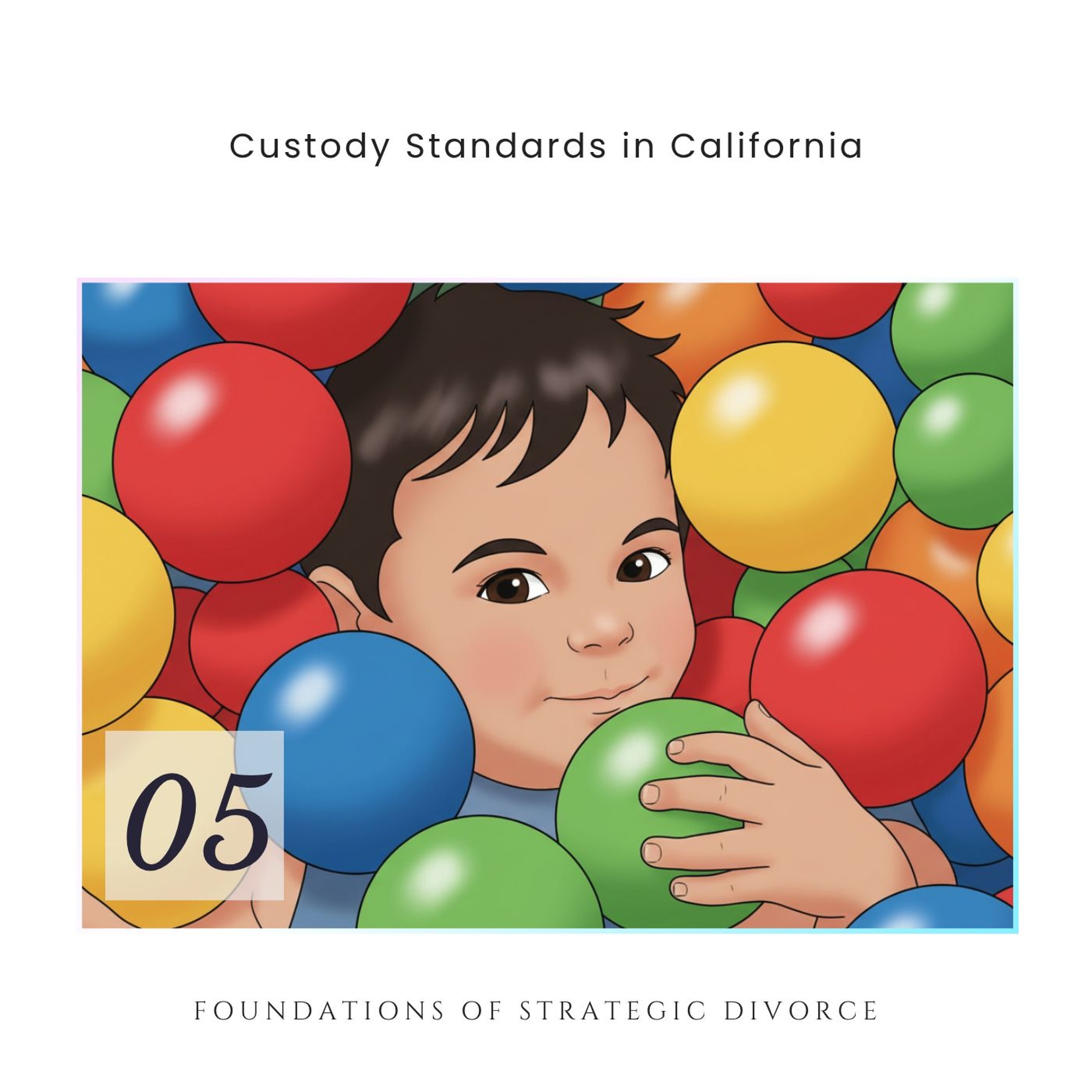 Custody Standards in California - v1e5