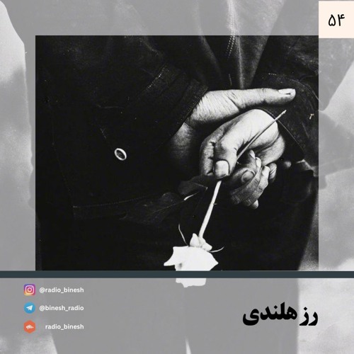 رز هلندی