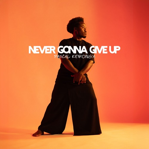 Never Gonna Give Up-
