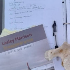 Voyage Of The Fox Excerpts Arbroath 2021+1 -Live