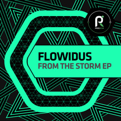 From the Storm (feat. EDDE)
