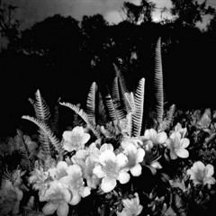 SMXXTH LXV3 (110bpm)DJWaveGVWD