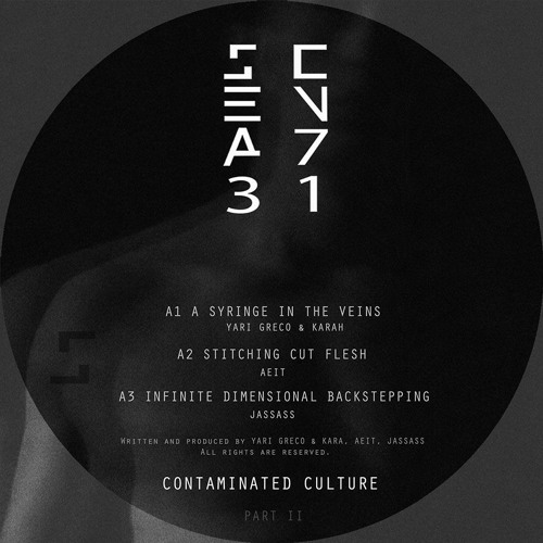 [PREMIERE] JASSASS - Infinite Dimensional Backstepping [SC731LTD001]