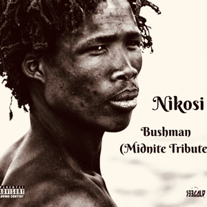 Bushman (Midnite Tribute)