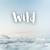 Artwork for Wild (JLynne X Nick Escoto Mashup) (Hibell X Krewella X Axwell Λ Ingrosso)