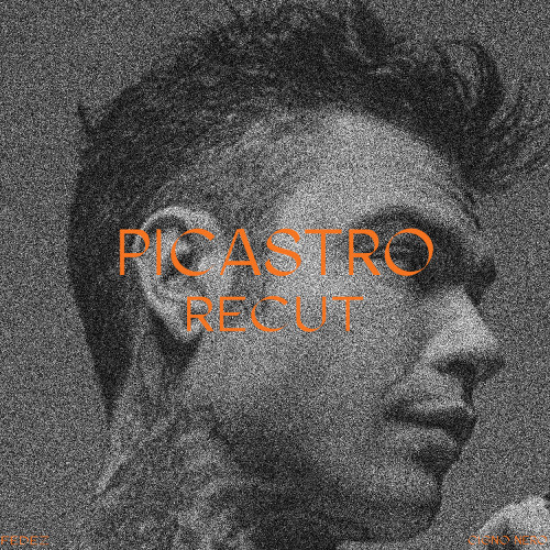 Fedez - Cigno nero (Picastro recut)