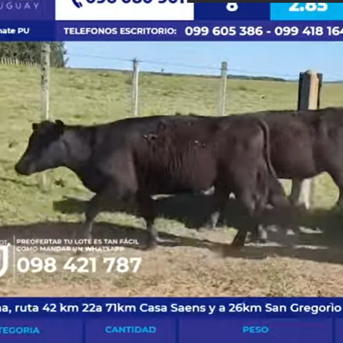 Federico Jaso - Pantalla Uruguay