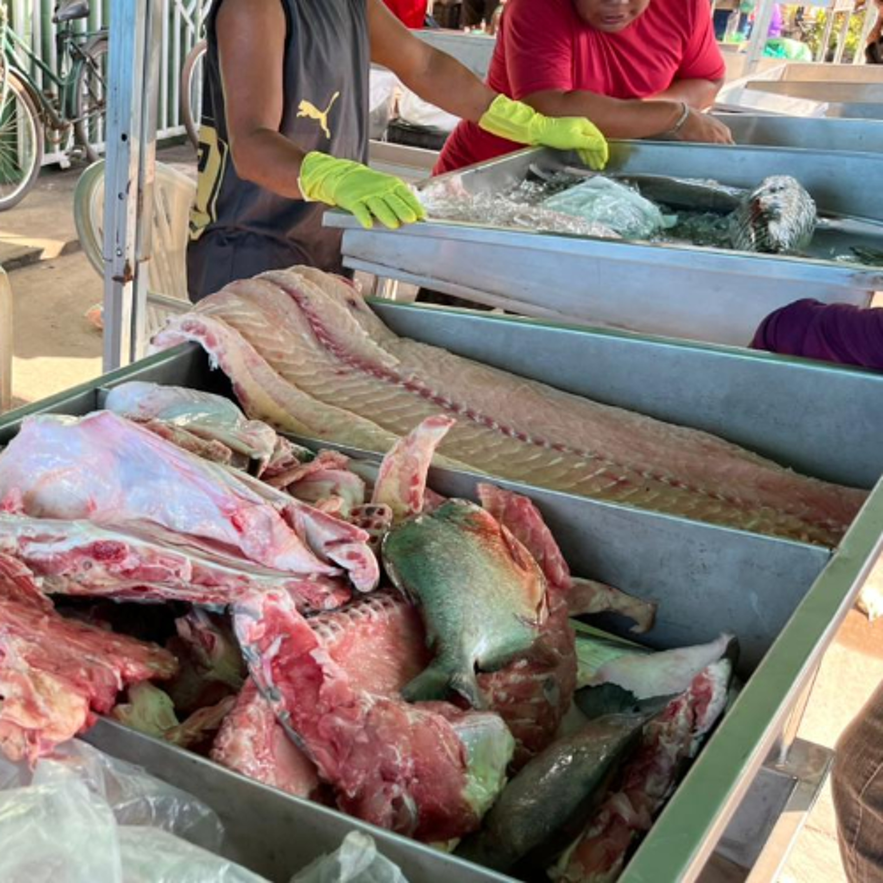 Feira do pescado sustentável movimenta Juruti episode artwork