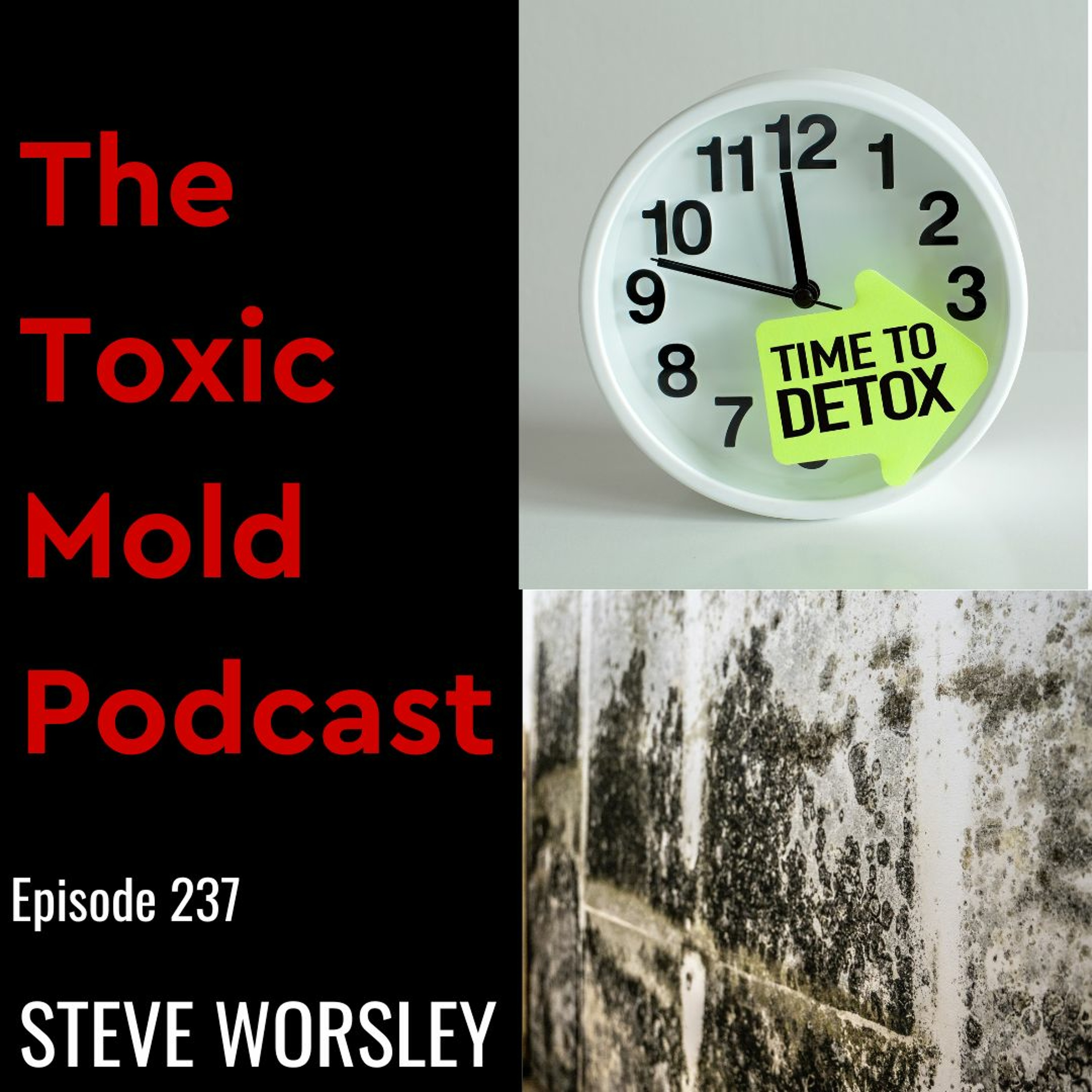 The Toxic Mold Podcast