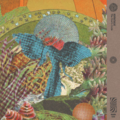 PREMIERE: Sofa Talk - Dub Lush (feat. Veezo)