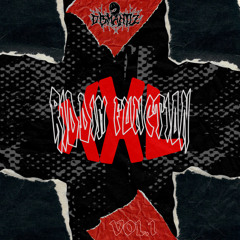 RIDDIM FUNCTION XXL MIX VOL1 (5/2024)