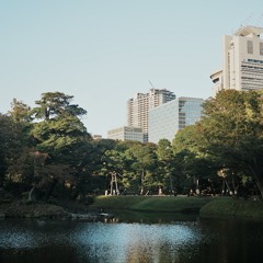 statiksignal<>langiskitats