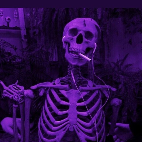 dorcci addi new version