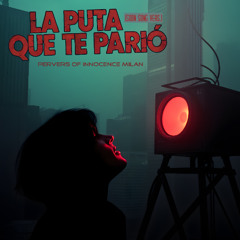 La Puta Que te Parió (Soon song)