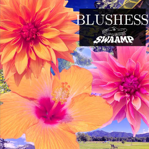 blushess - SWAAMP