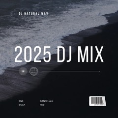 2025 RNP RAP DANCEHALL SOCA - KELANI SMMRWLKR BUNNAB GUNNA VALIANT AYETIAN SKILLI YUNGBREDA LADYLAVA