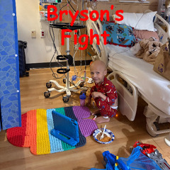 Brysons Fight