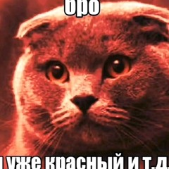 лсо